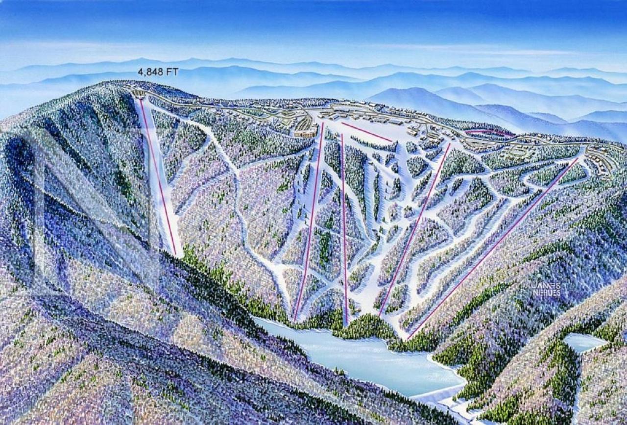 Stroll To Slopes, Village Area, In-out Mtlodge 151 Apartment *